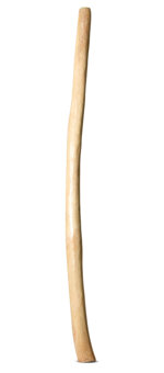 Natural Finish Didgeridoo (TW1446)